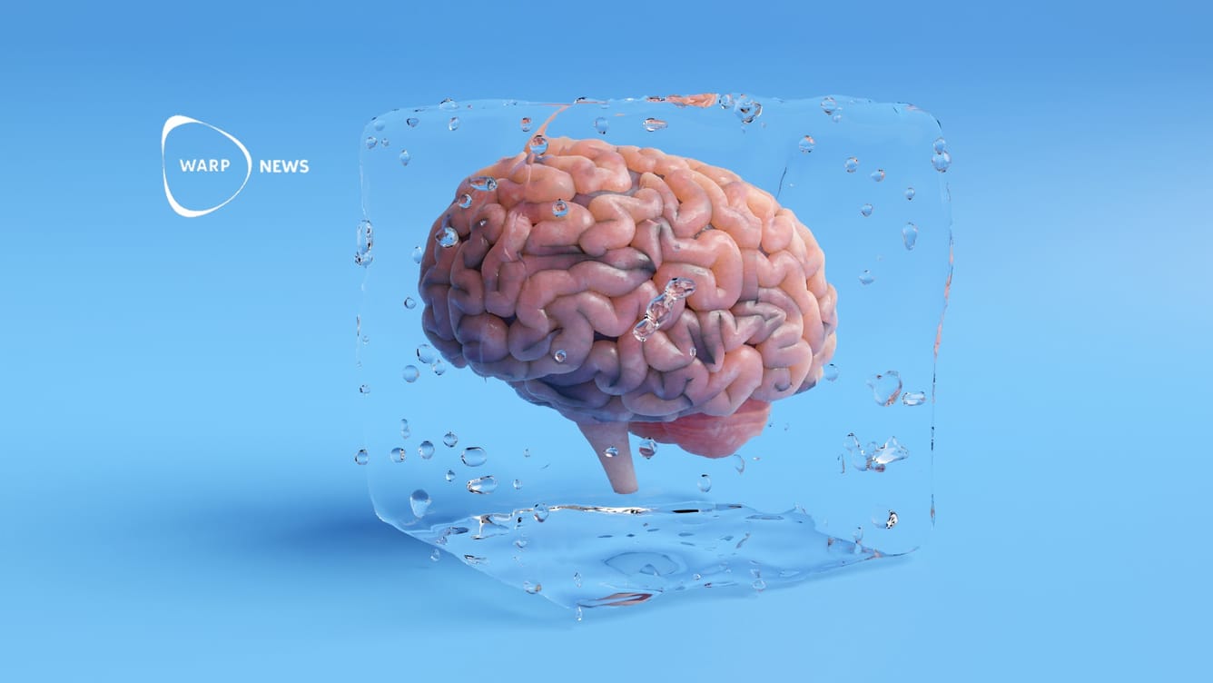 🧠 Fryst hjärnvävnad kan nu återupplivas utan skada - underlättar forskning