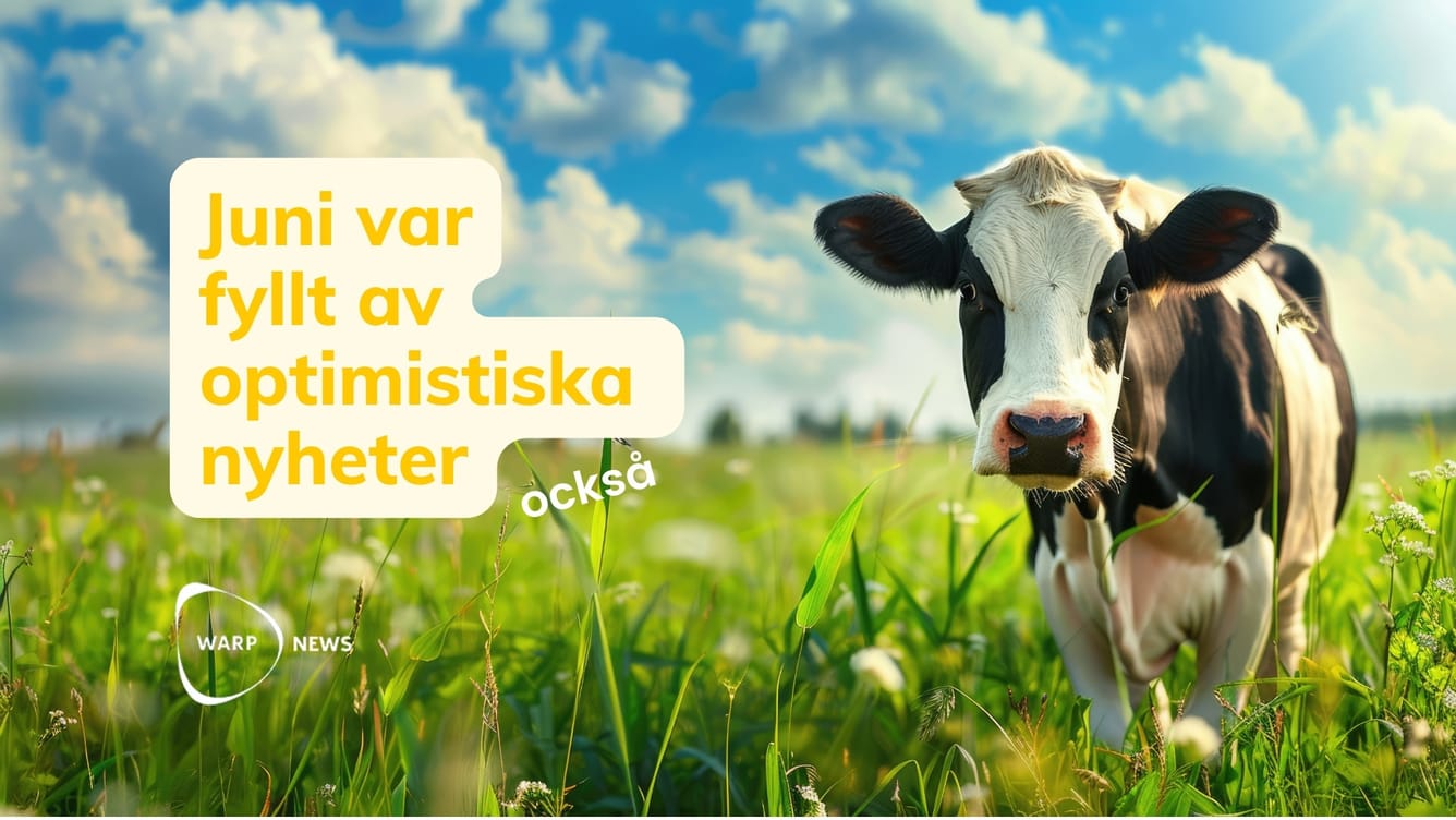 💡 22 faktabaserade optimistiska nyheter från juni