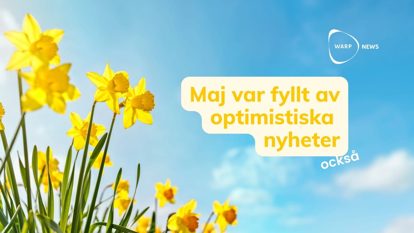 💡 23 faktabaserade optimistiska nyheter från maj