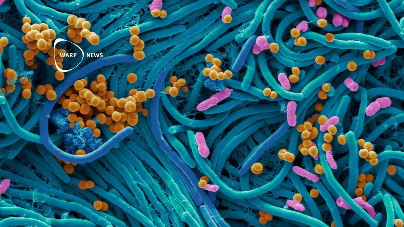 🦠 AI hittar nästan 1 miljon nya antibiotika - framsteg i kampen mot antibiotikaresistens