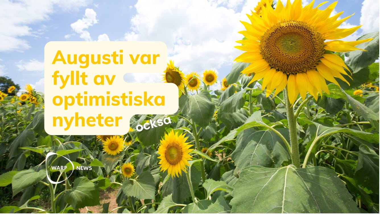 💡 Faktabaserade optimistiska nyheter från augusti