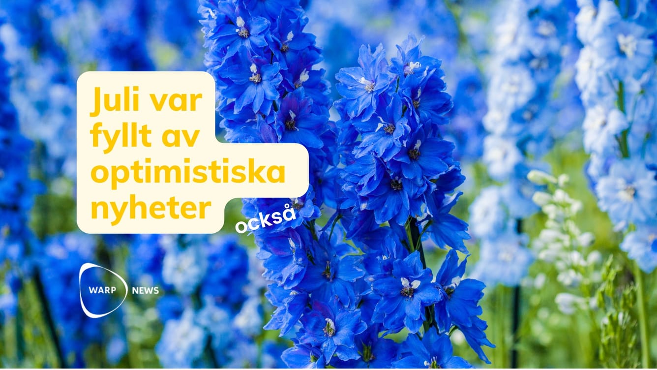 💡 Faktabaserade optimistiska nyheter från juli