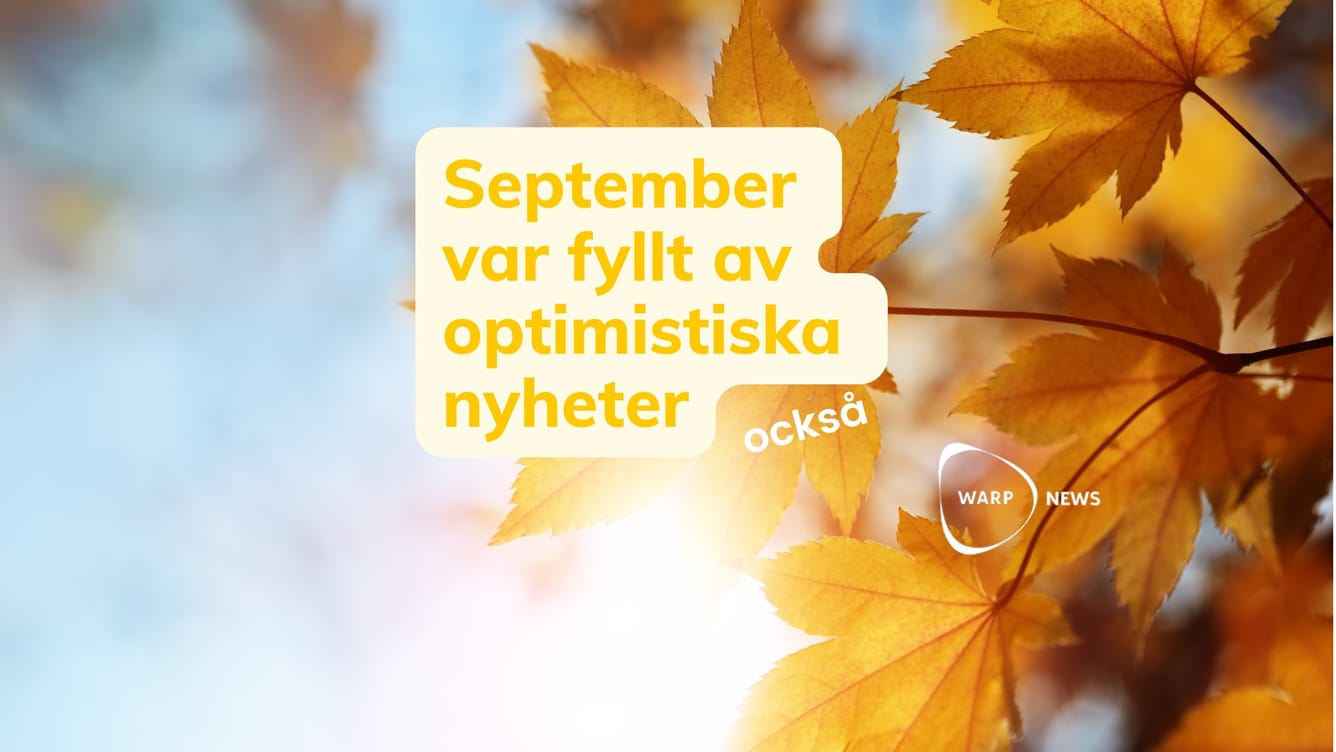 💡 Faktabaserade optimistiska nyheter från september