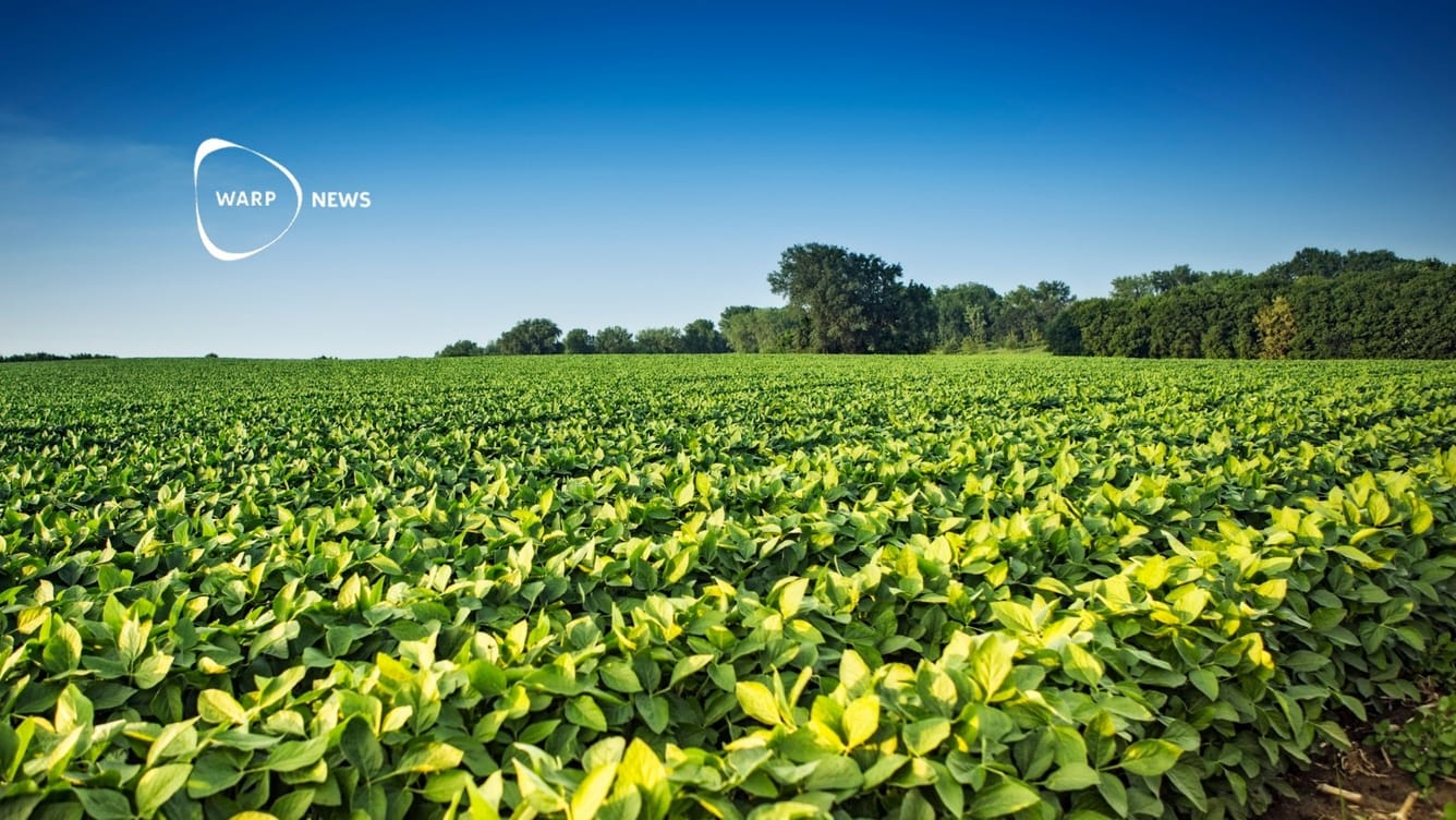 🧬 CRISPR anpassar grödor och boskap för att tåla ett varmare klimat