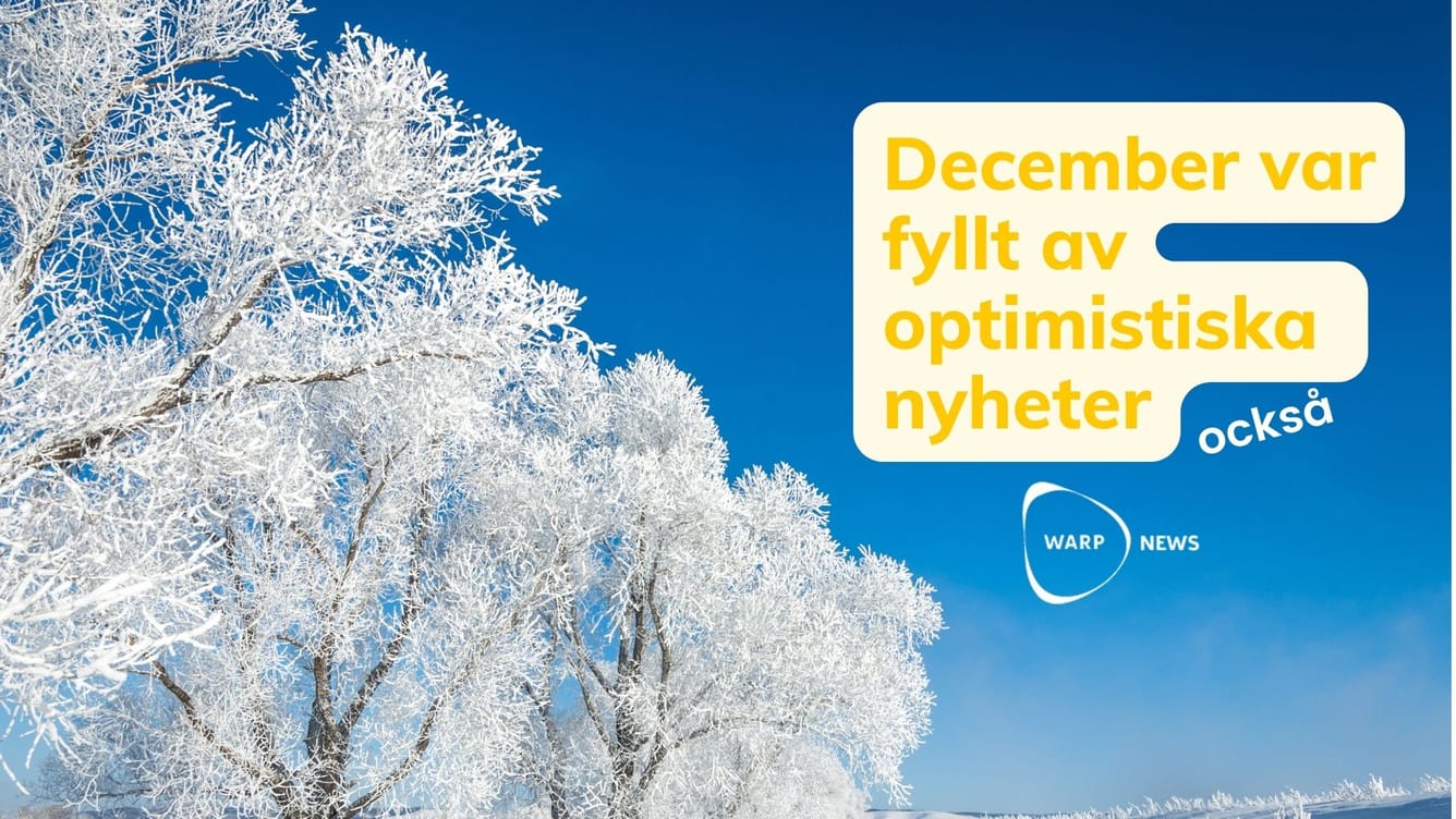đĄ Faktabaserade optimistiska nyheter frĂ„n december