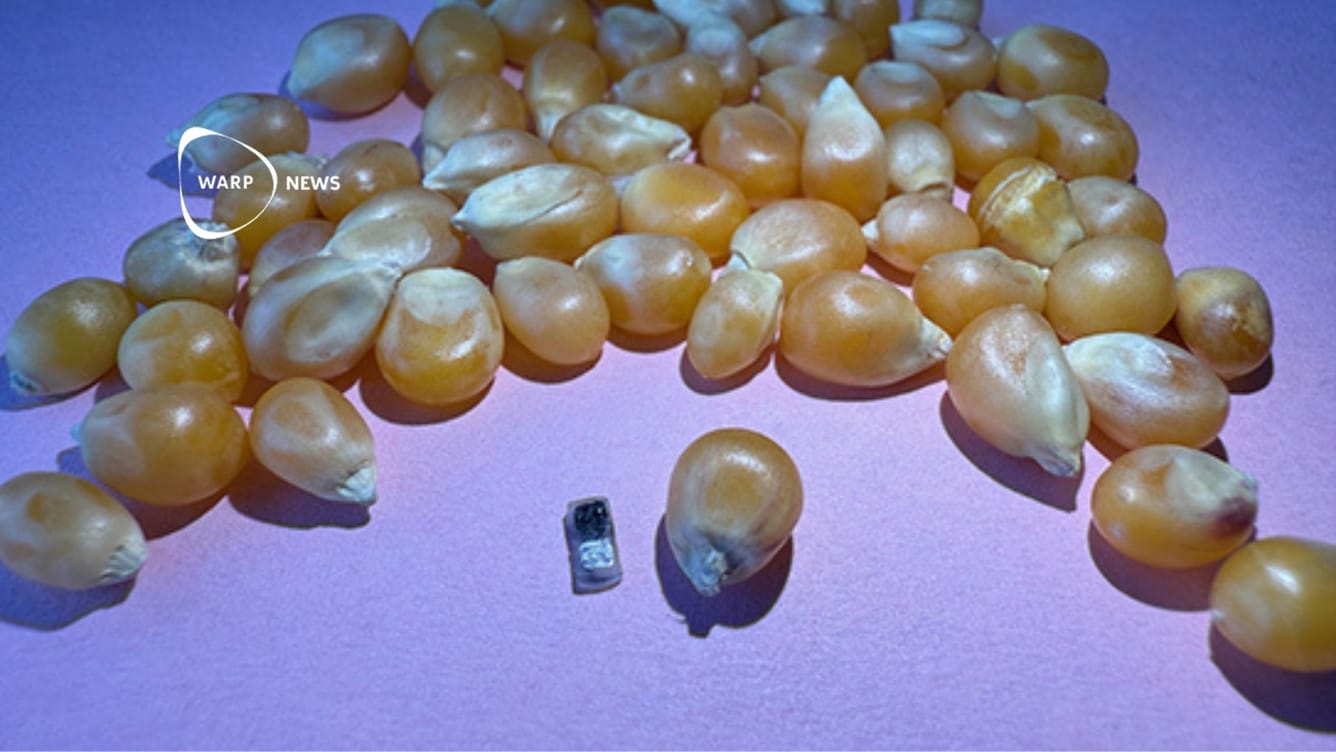 💉 En pacemaker så liten att den kan injiceras med en spruta