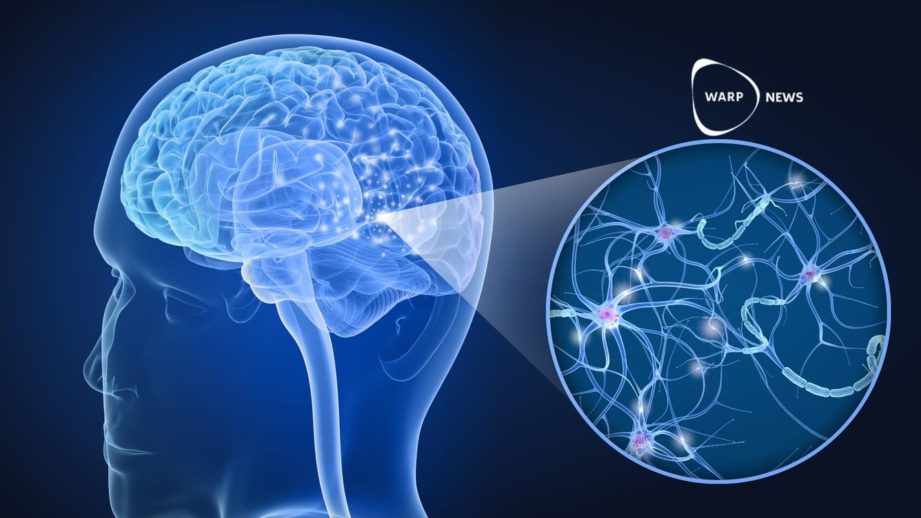 🧠 Utvecklar teknik för att analysera tusentals celler samtidigt - kan förändra behandling av hjärnsjukdomar