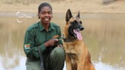 🐕 Tränade hundar spårar tjuvjägare i Afrika